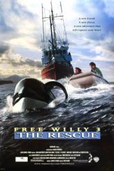 Смотреть онлайн Освободите Вилли 3: Спасение (1997)