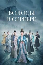 Смотреть онлайн Волосы в серебре (2019)