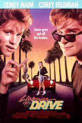Смотреть онлайн Водительские права (1988)