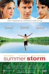 Смотреть онлайн Летний шторм (2004)