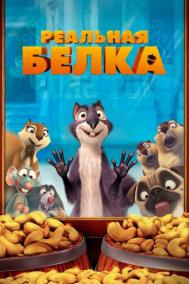Смотреть онлайн Реальная белка