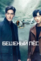 Смотреть онлайн Бешеный пёс (2017)