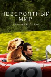 Смотреть онлайн Невероятный мир глазами Энцо (2019)