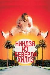 Смотреть онлайн Ниндзя из Беверли-Хиллз (1997)