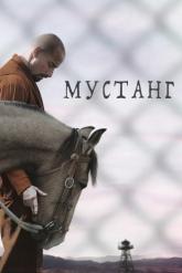 Смотреть онлайн Мустанг (2019)