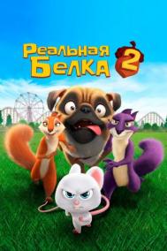 Смотреть онлайн Реальная белка 2