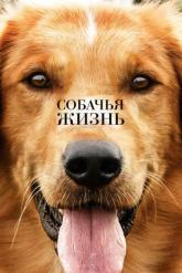 Смотреть онлайн Собачья жизнь (2017)