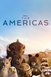 Смотреть онлайн Америка (2025)