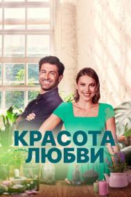 Смотреть онлайн Красота любви