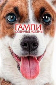 Смотреть онлайн Гампи. Собачья жизнь