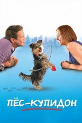 Смотреть онлайн Пес-купидон (2012)