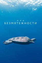 Смотреть онлайн Мир безмятежности (2020)