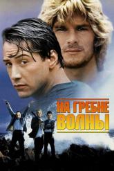 Смотреть онлайн На гребне волны (1991)