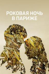 Смотреть онлайн Роковая ночь в Париже / Один год, одна ночь