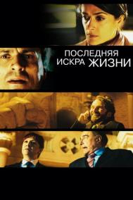 Смотреть онлайн Последняя искра жизни