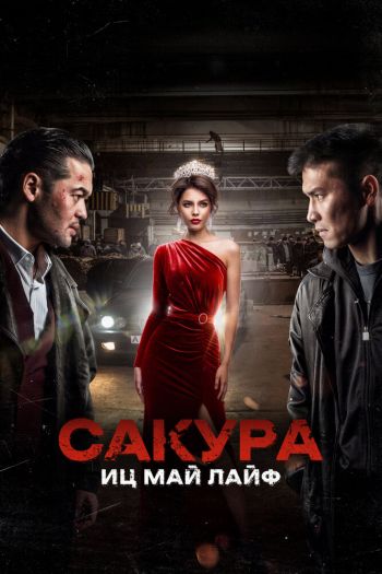 Сакура. Иц май лайф смотреть онлайн в HD 1080 720