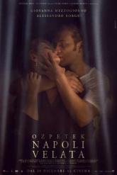 Смотреть онлайн Неаполь под пеленой (2017)