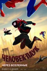 Смотреть онлайн Человек-паук: Через вселенные (2018)