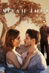 Смотреть онлайн Черная жемчужина (2017)