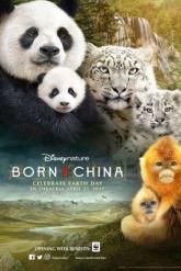 Смотреть онлайн Рожденные в Китае (2016)